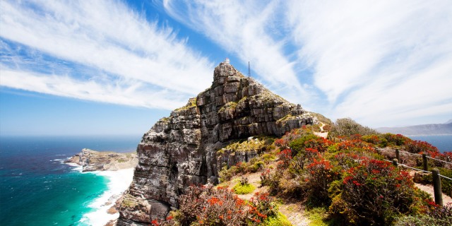 Table Mountain National Park 1